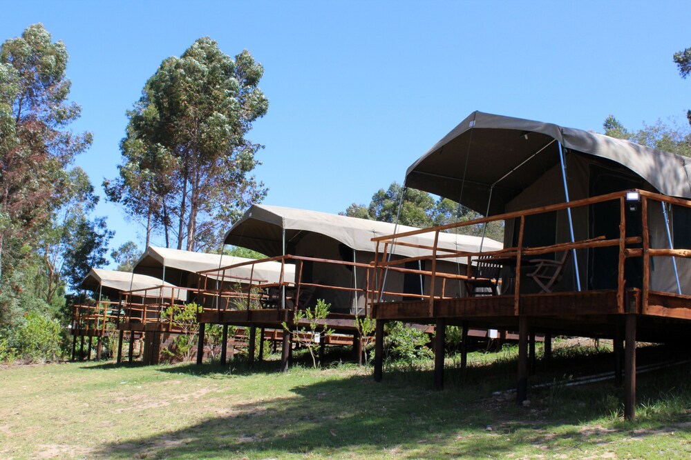 Tri Active Lodge