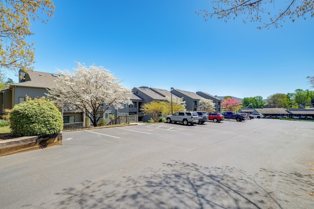 Dock + Pool Access: Condo on Smith Mountain Lake