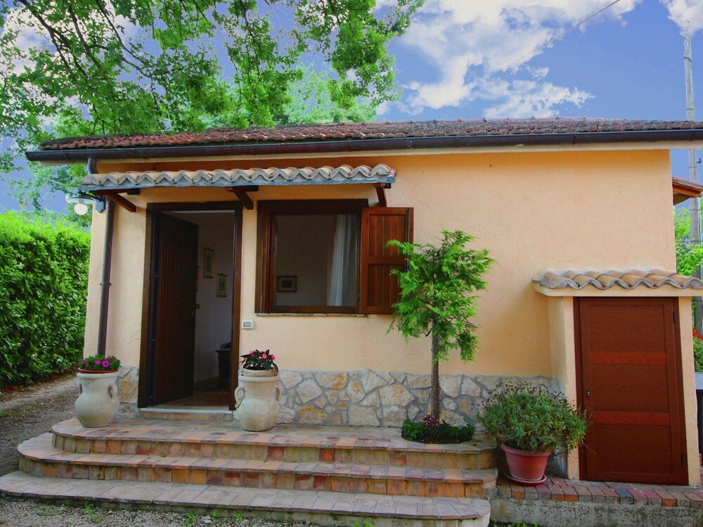 Photo 8