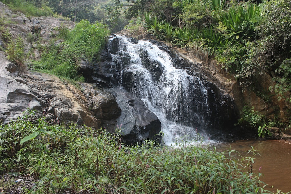 Secret Valley Jungle Resort