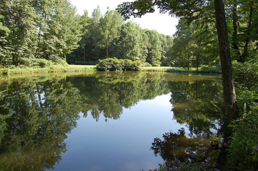 Wellnesste Lodge and Cabin Rentals