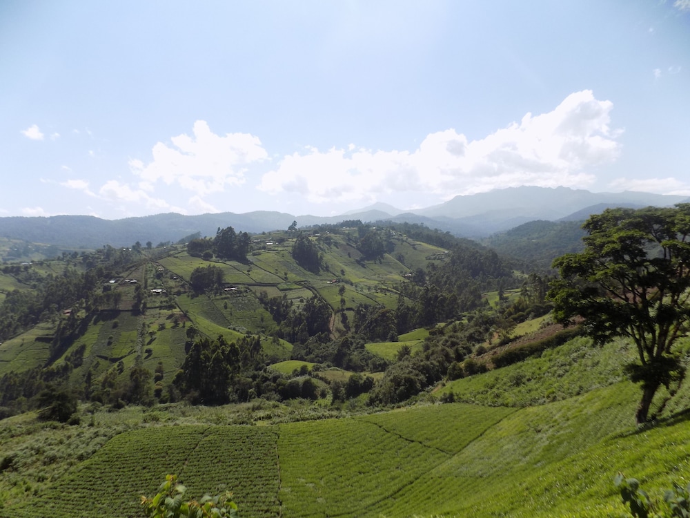 Ranges View Lodge