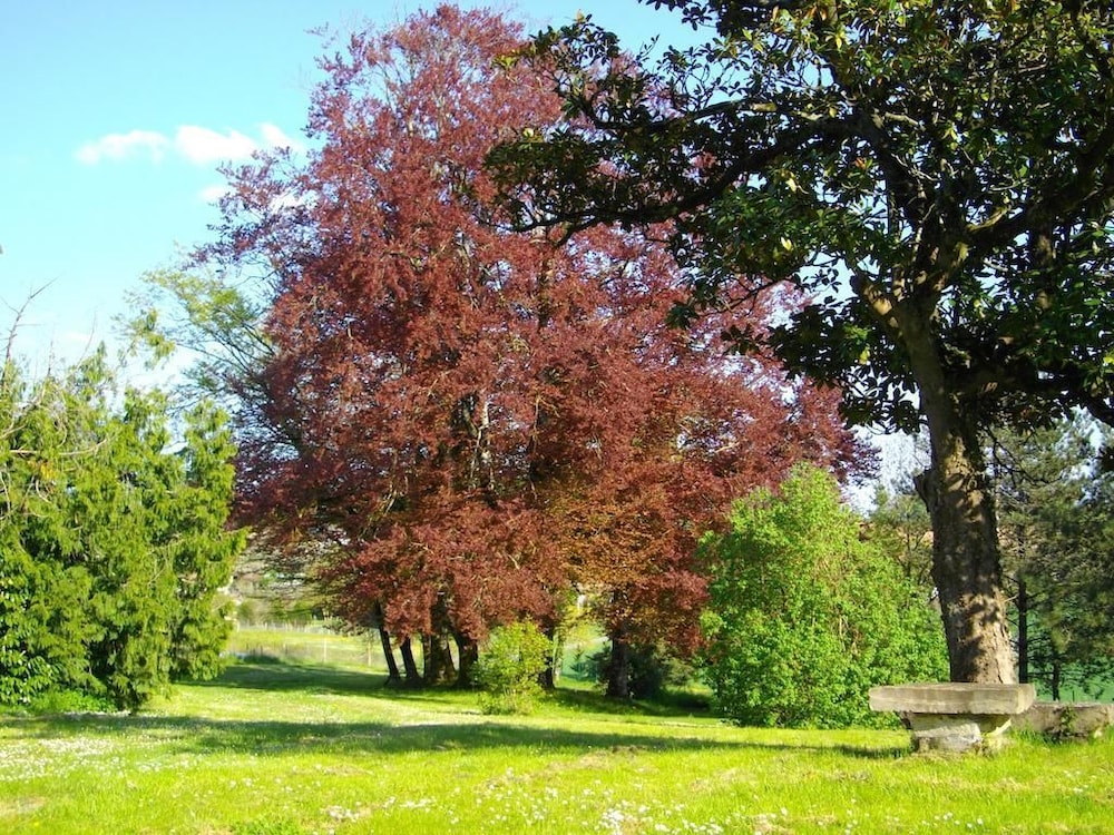 Photo 27