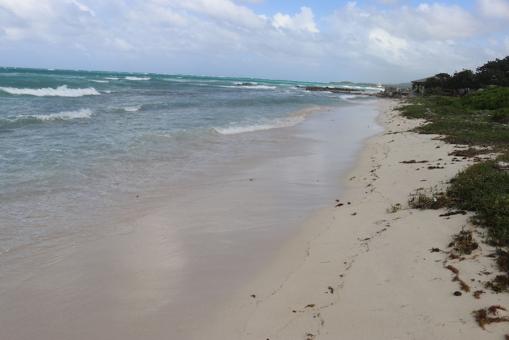 Beach Palm Villa, photo 53