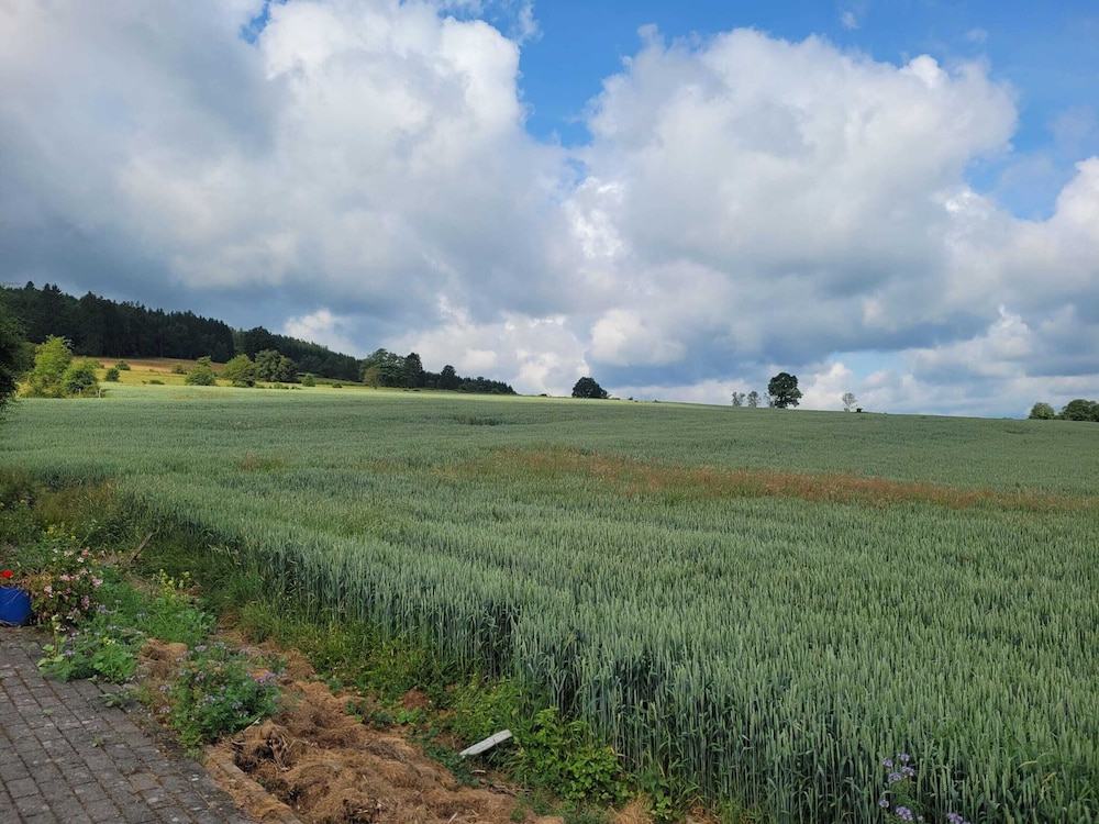 Sophisticated Holiday Home in Lierneux Near Forest