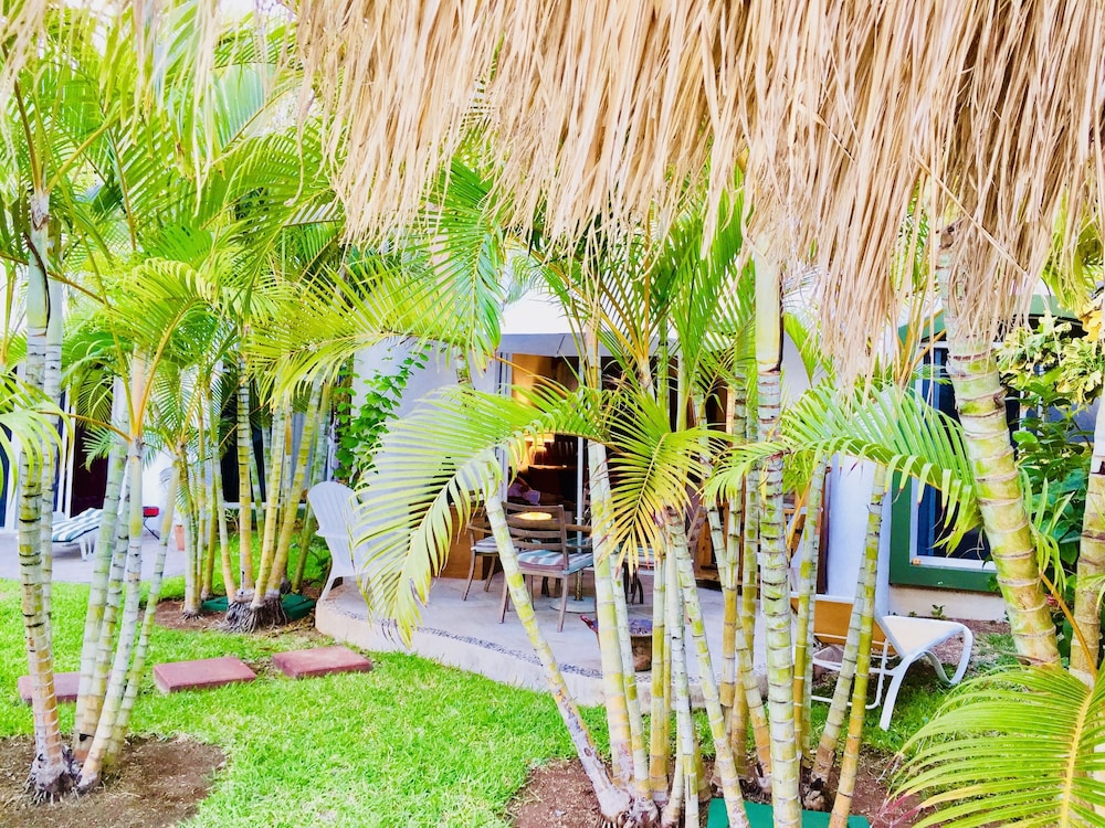 Dolce Vita Caribe B&B