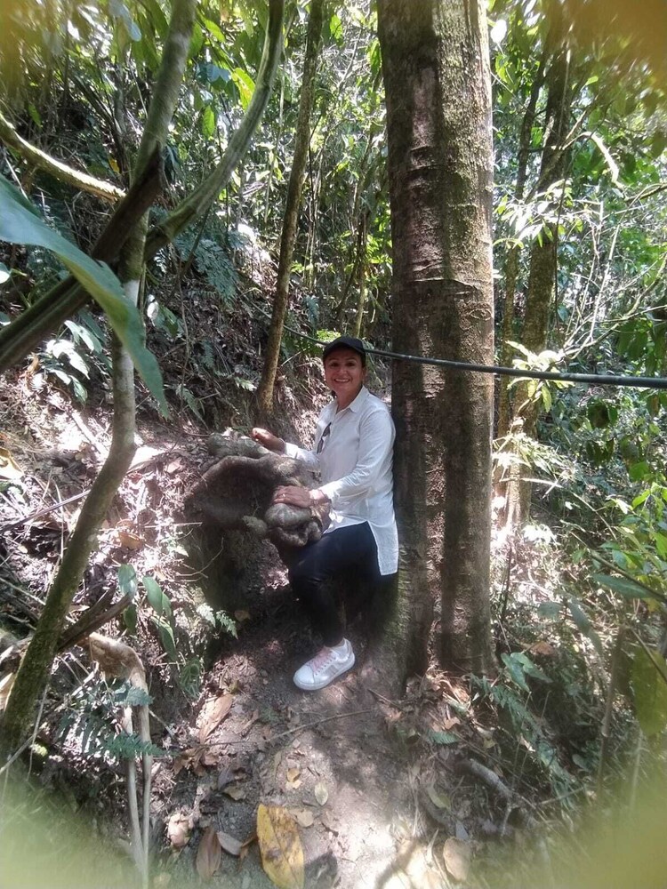 Cabanas Tierra Prometida
