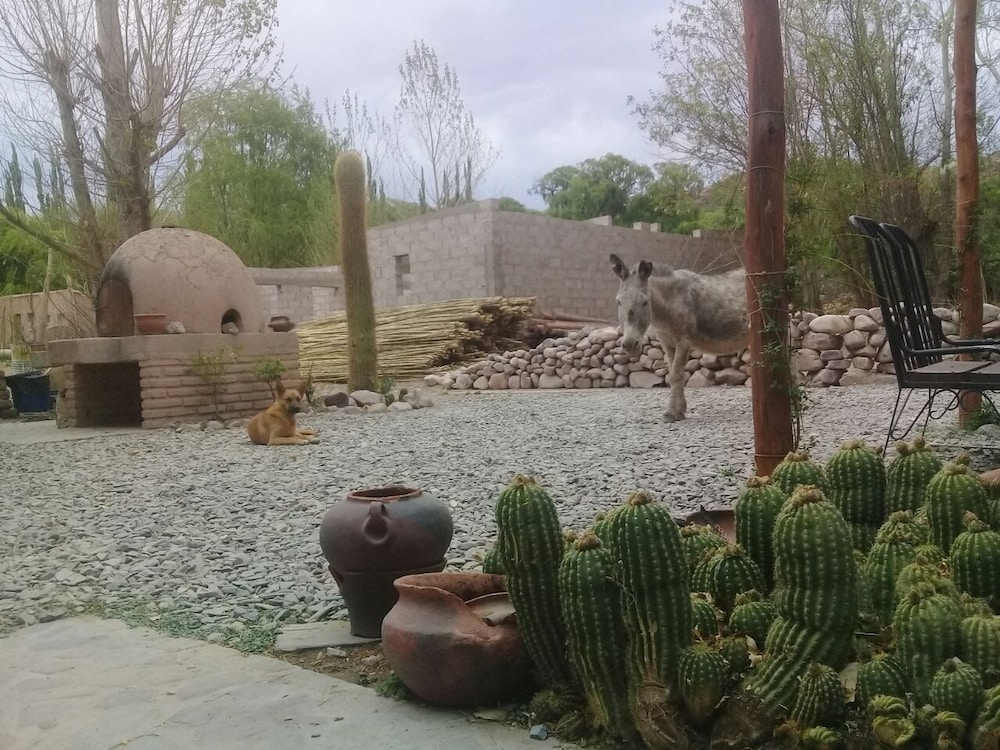 Hostal Azul Humahuaca