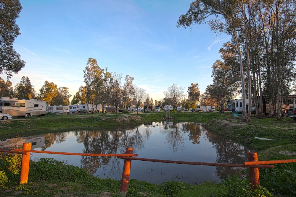 Wilderness Lakes RV Resort