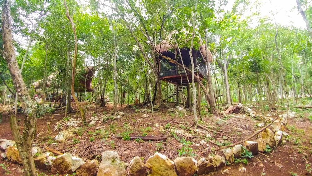 Casa Aztlan