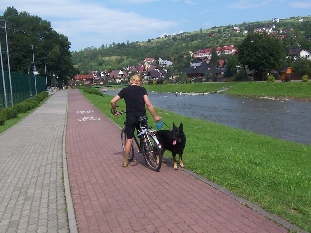 Photo 33
