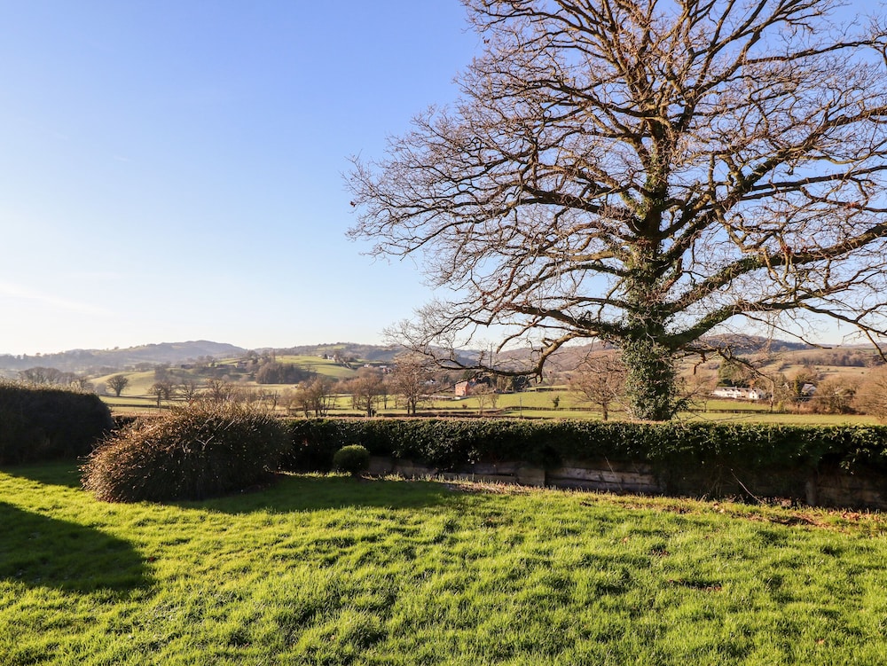 Berwyn View