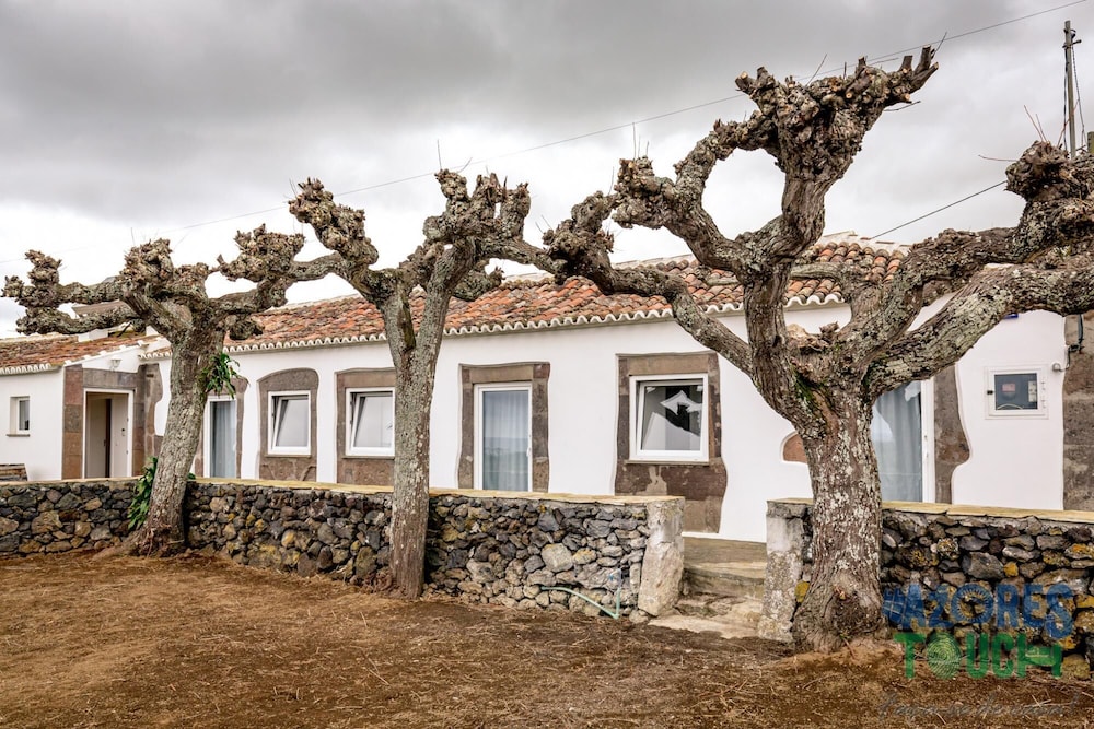 Casa dos Cal os in S o Mateus da Calheta view 5