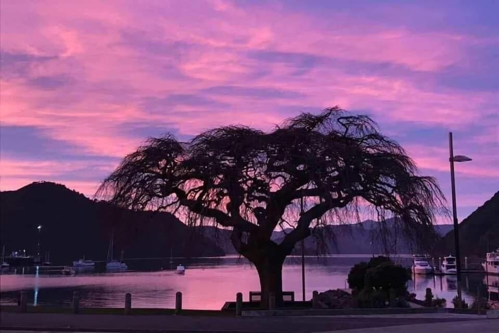 Piwaka Lodge and Backpackers