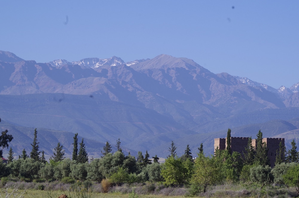 Photo 45