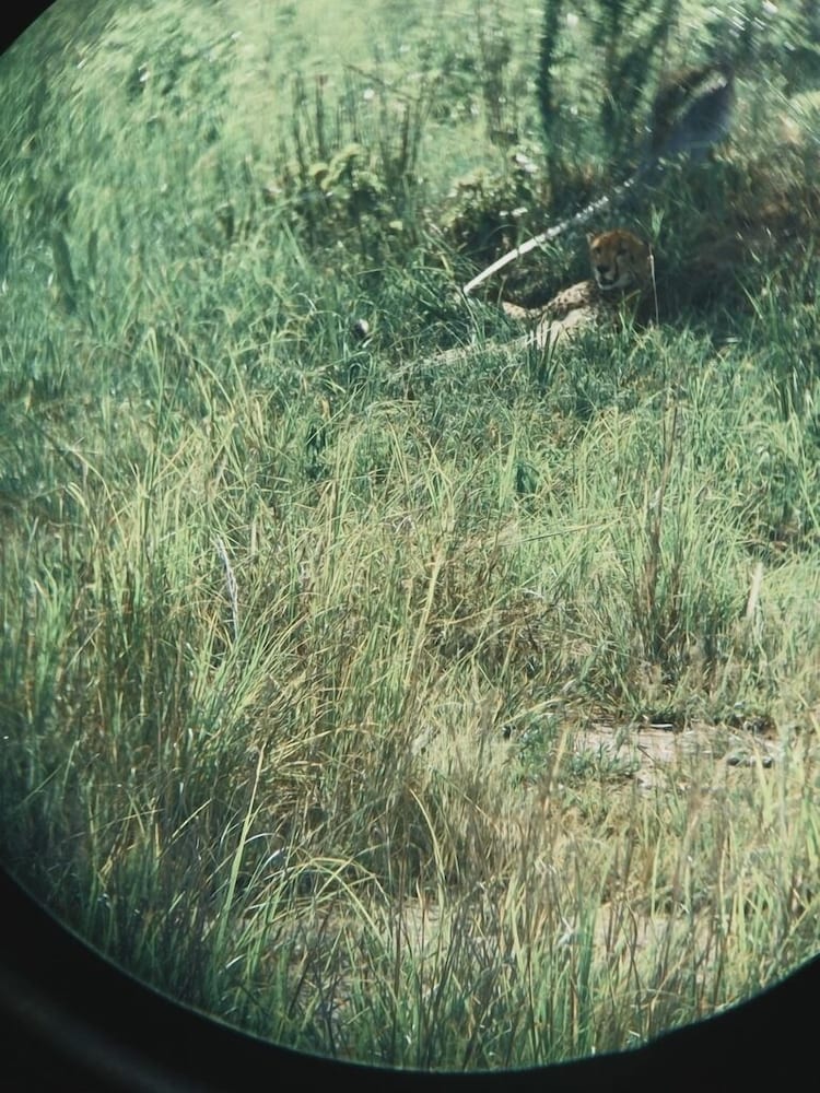 Photo 25