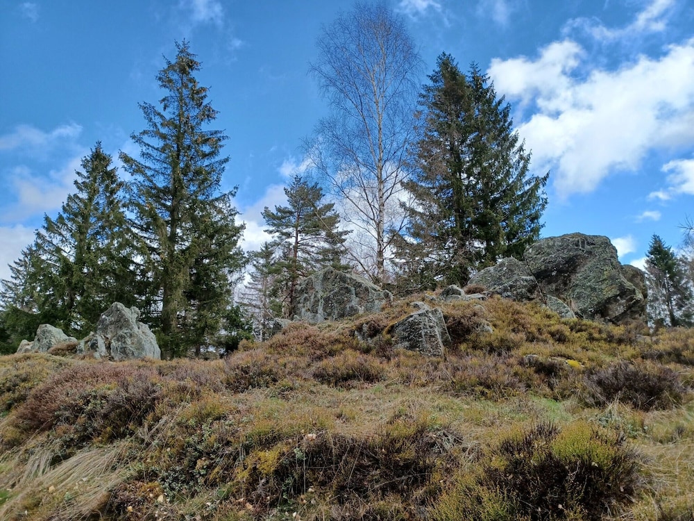 Photo 28