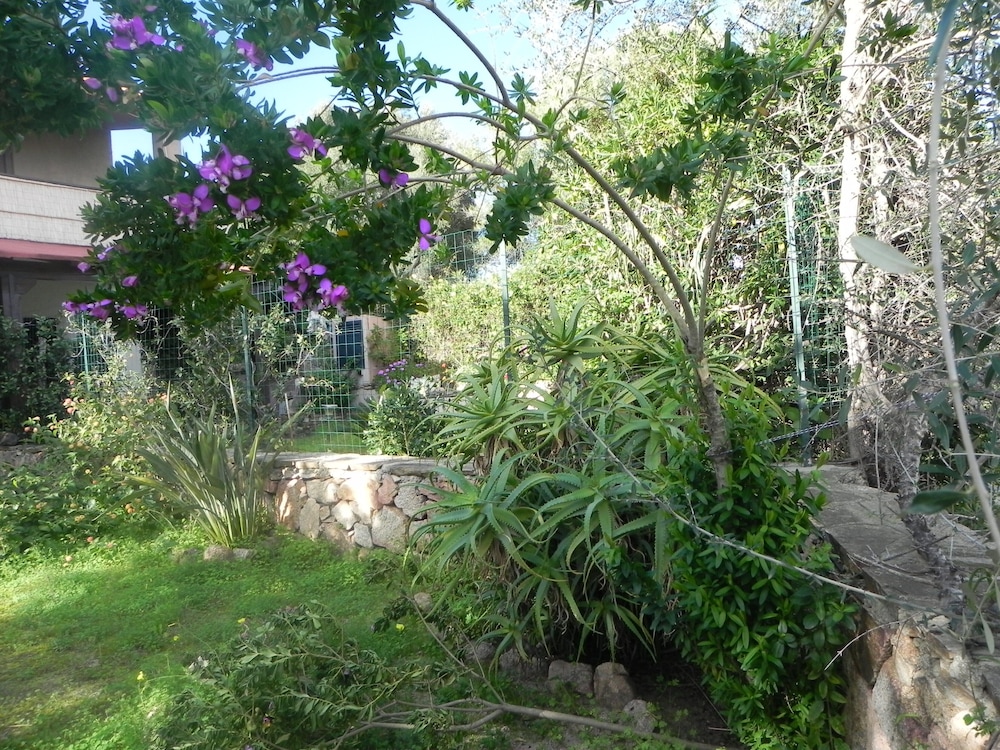 Photo 31