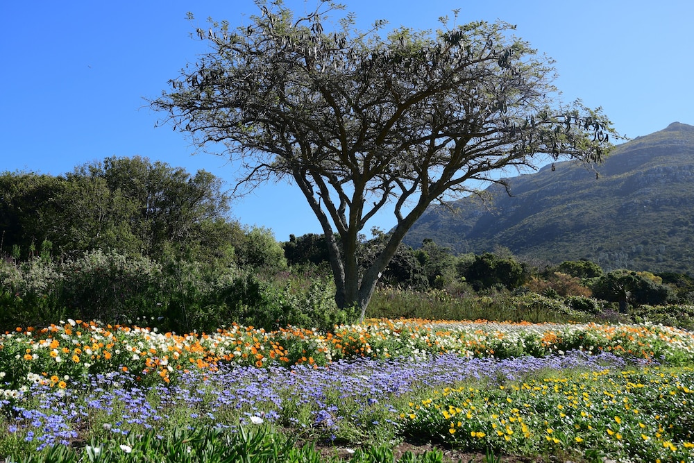 Bradclin Newlands