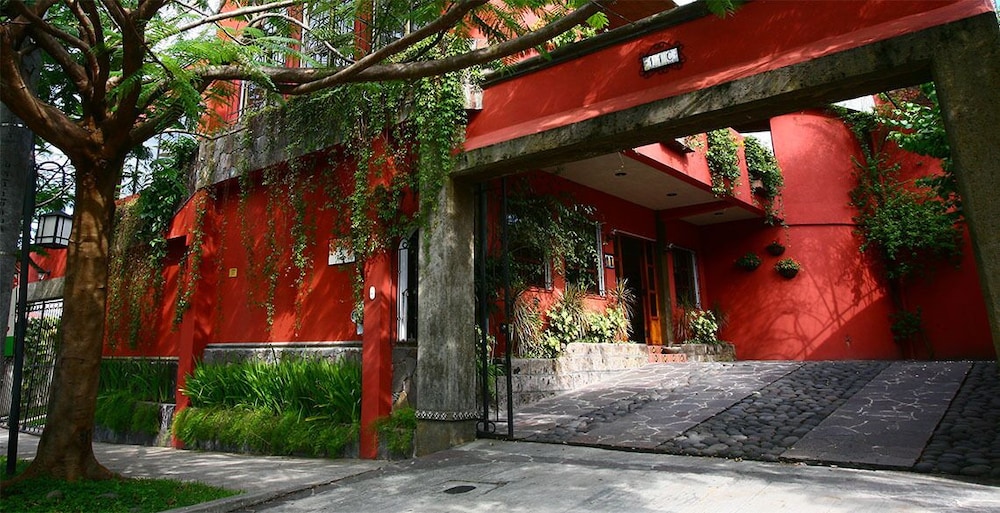 Árbol de Fuego Eco-hotel, a green experience in the city