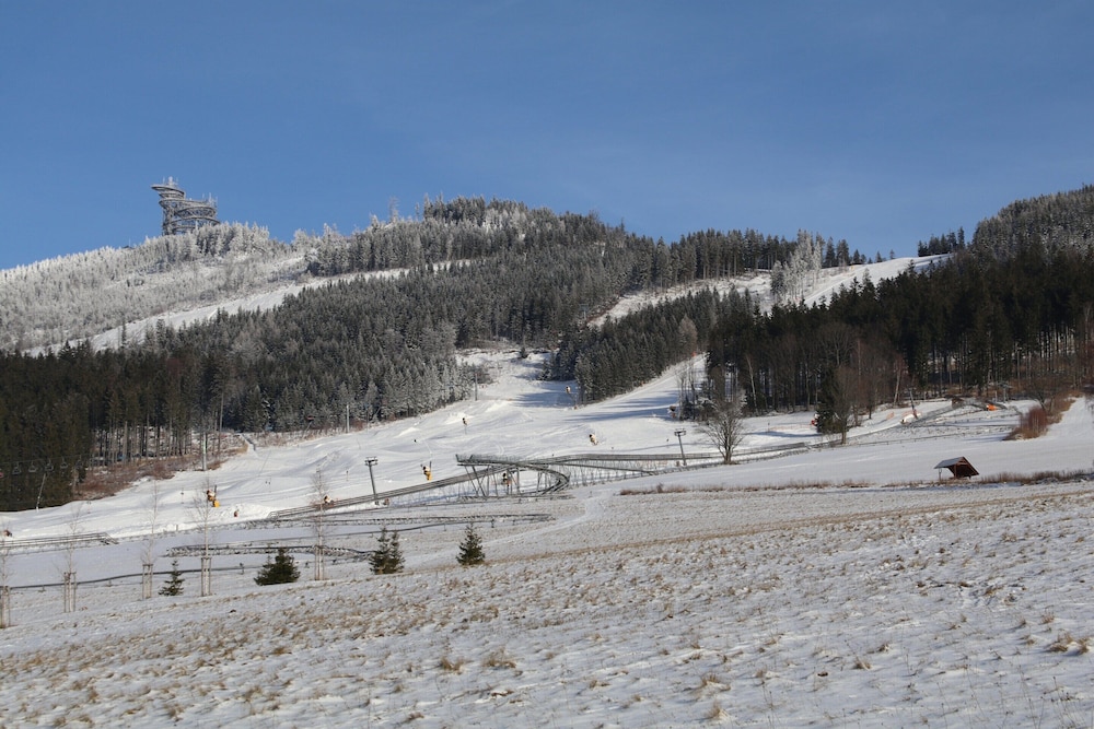 Villa in Dolni Morava Near Ski Slopes