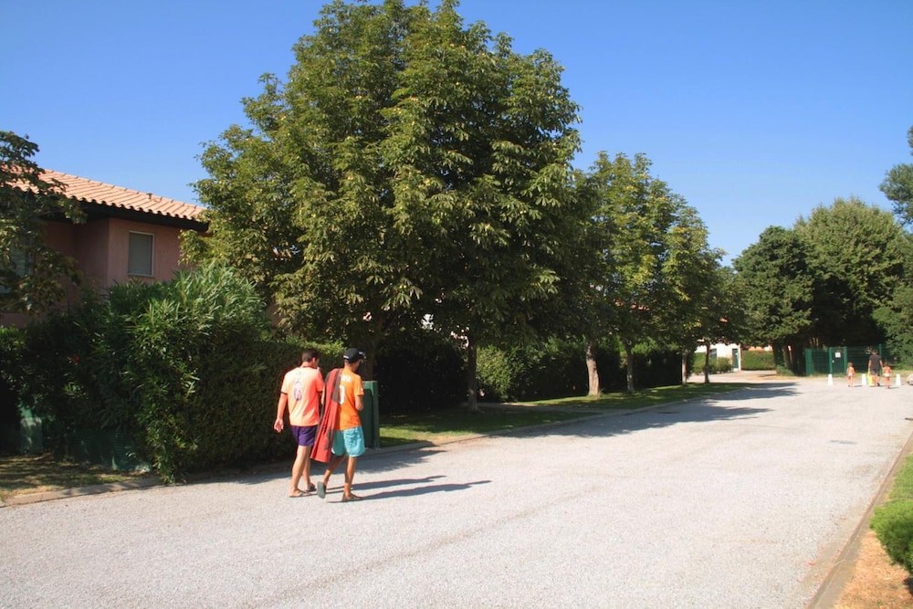 Photo 44