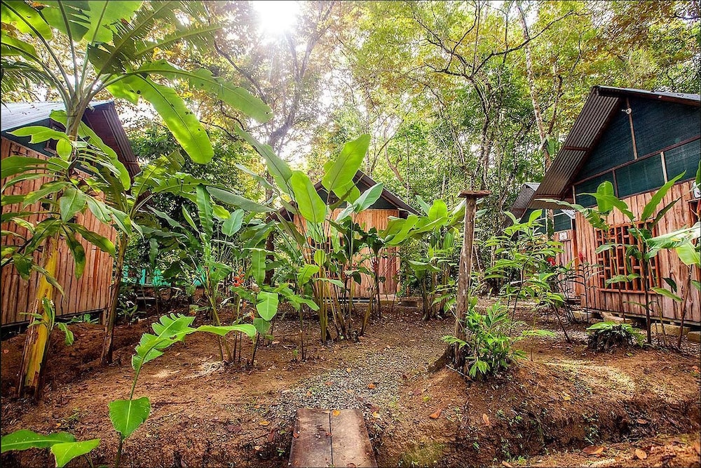 Hotel Cacao Monkeys - Image 1