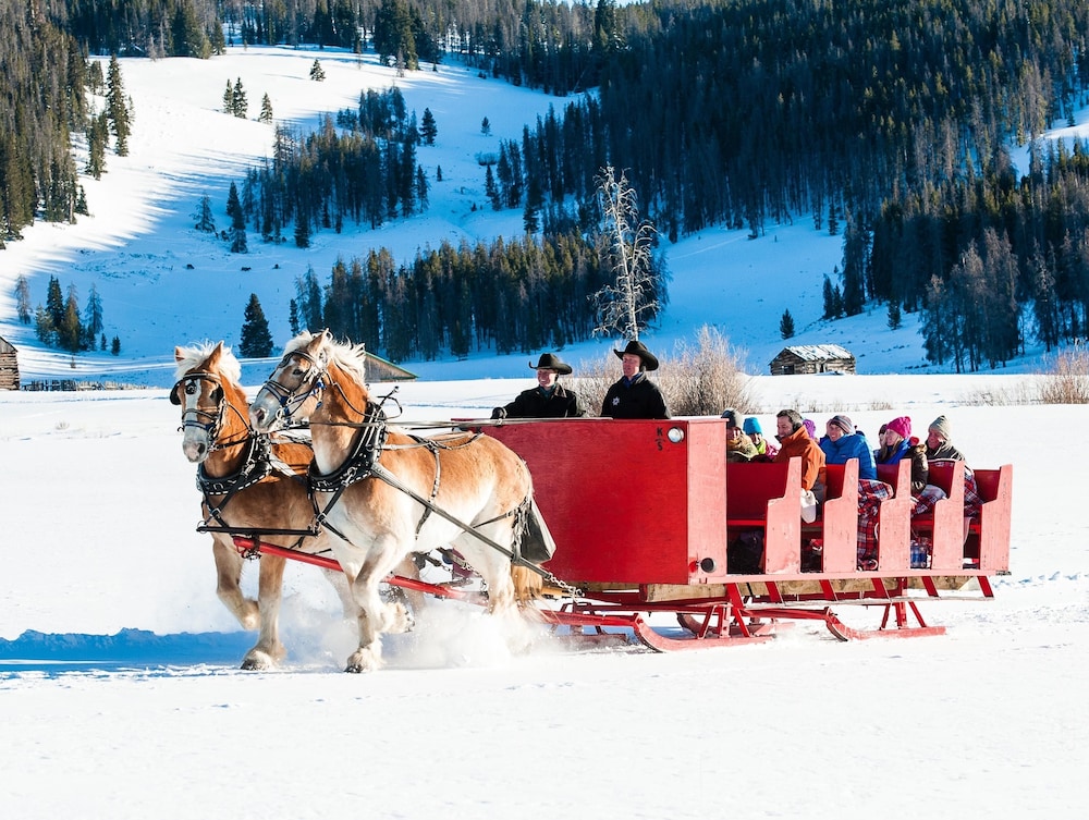 Summit County Vacations - Updated 1br Premier  At Black Bear Lodge- Kids Ski Free 1 Bedroom Condo by RedAwning - Property Image 3