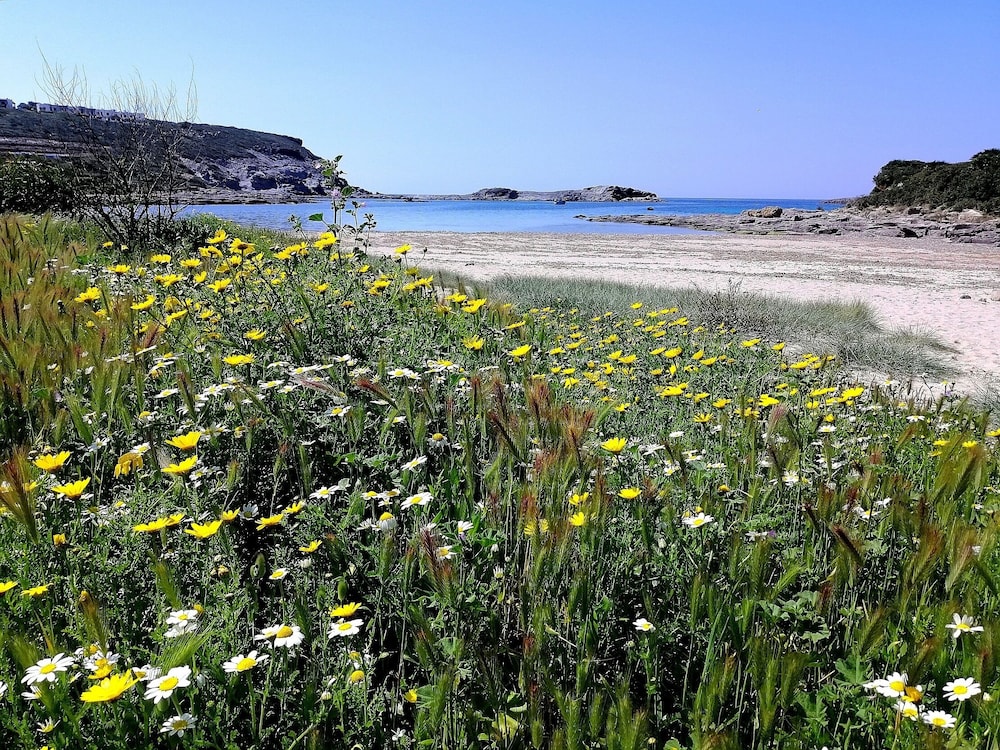 Agriturismo Erbe Matte - Campingplads, Billede 10