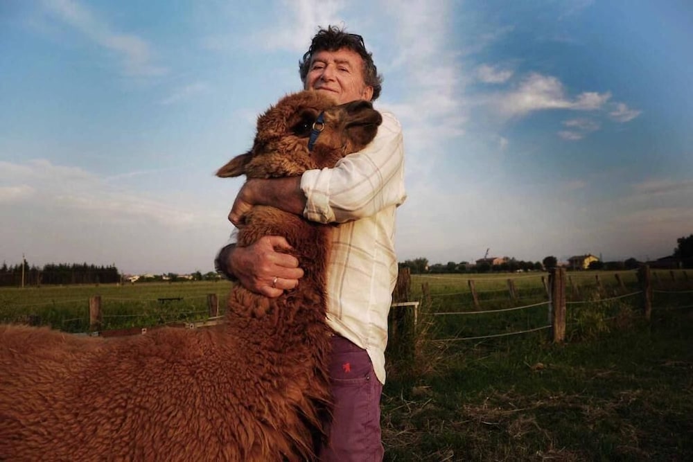 Cascina Vecchia Alpacas B&B