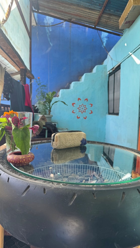 Chipaskot Spot