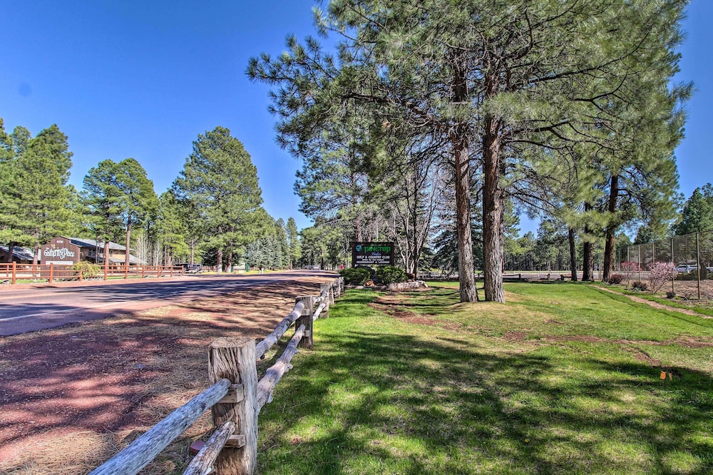 Sledding Thrills & Fireside Warmth: Pinetop Home