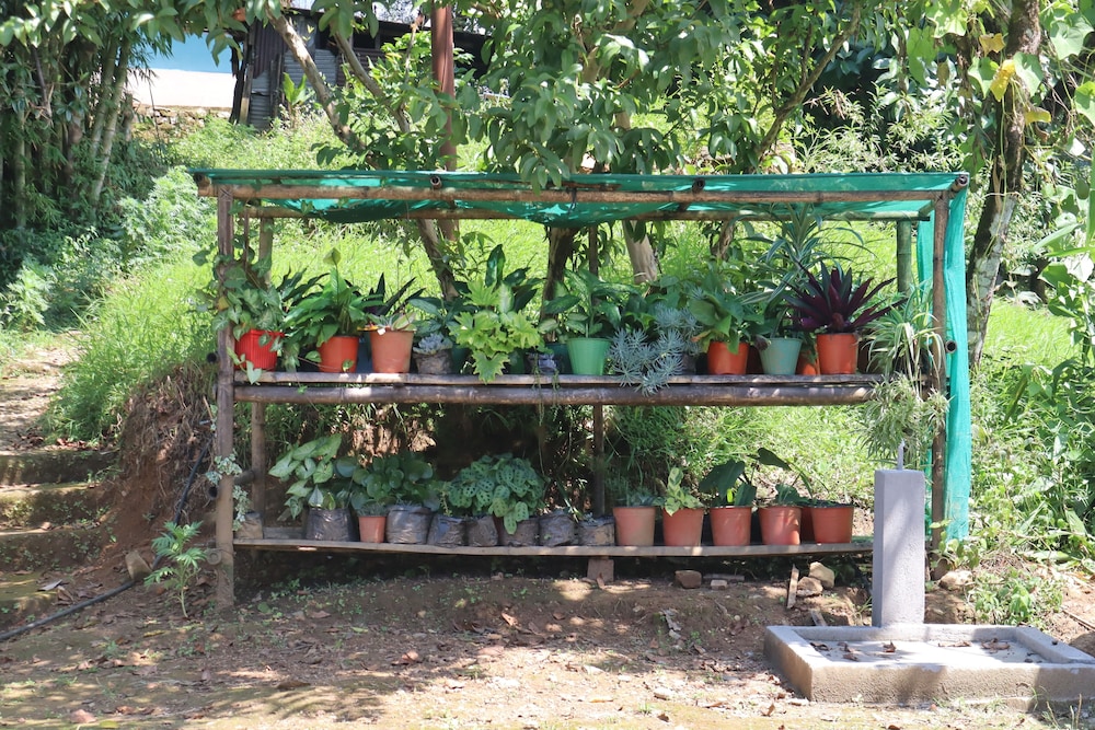 Penuel Homestay