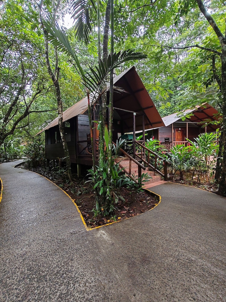 Evergreen Lodge