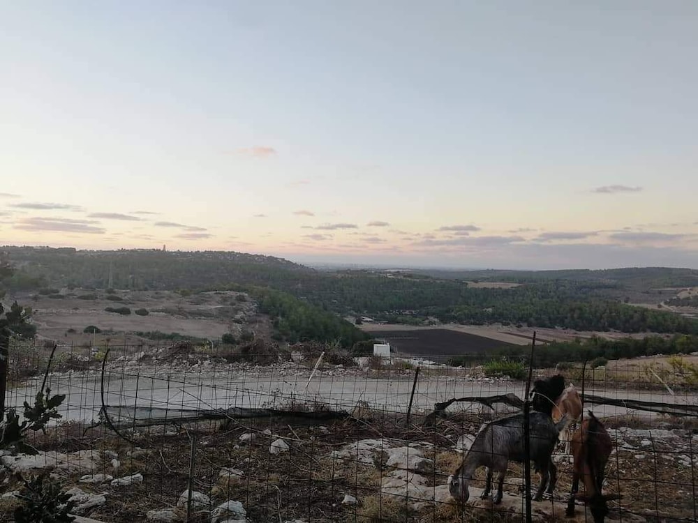 Galilee Bedouin Camplodge
