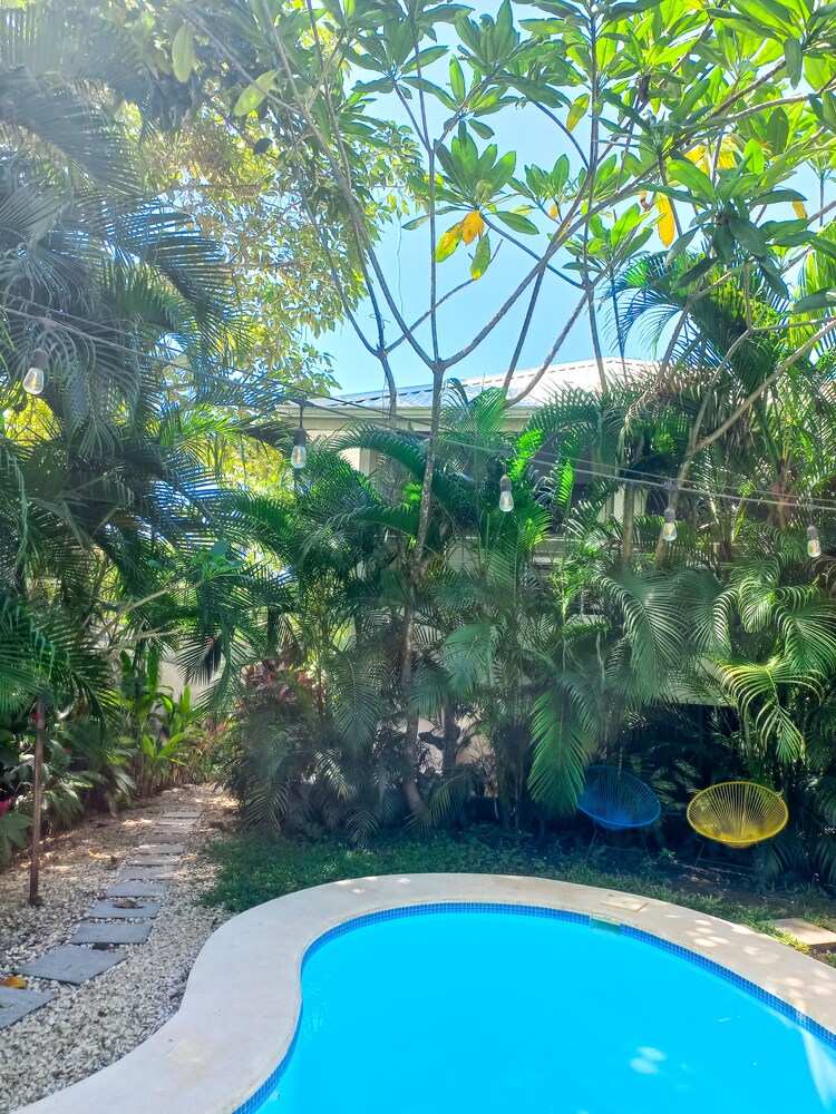 Calma Apartments