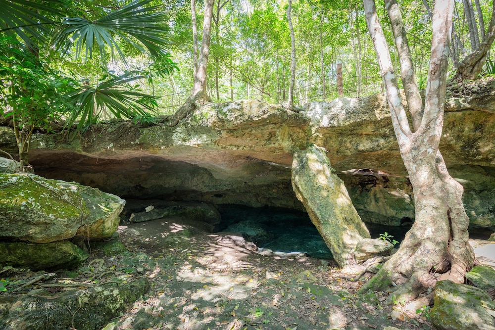Attha Cenote Luxury Condo - Property Image 108