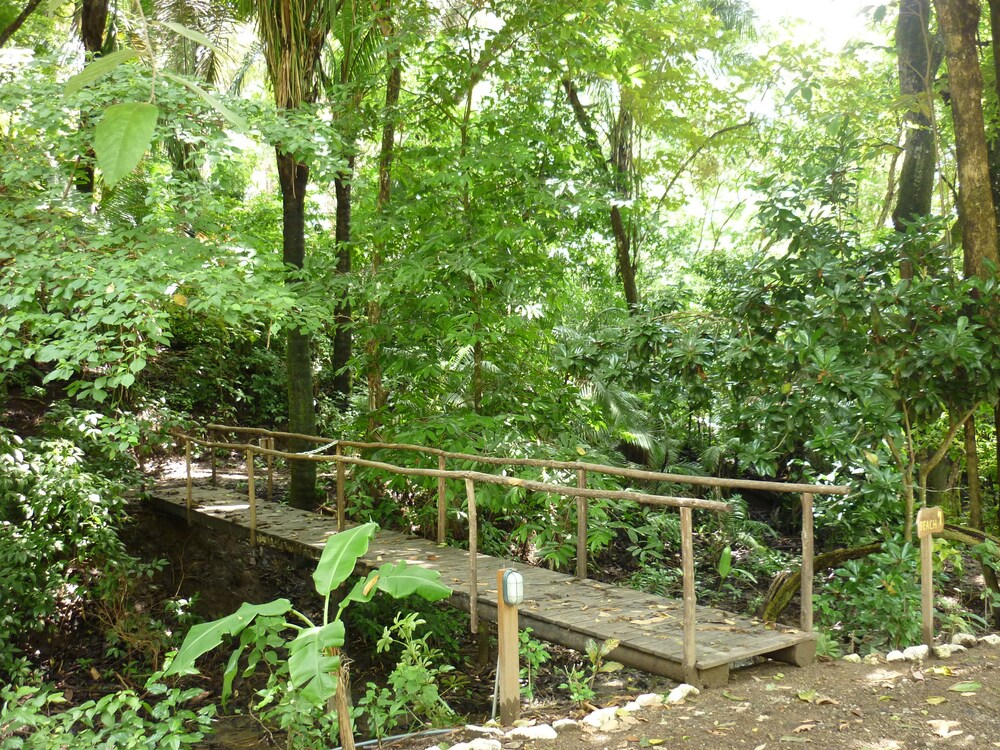 Hotel El Pequeño Gecko Verde