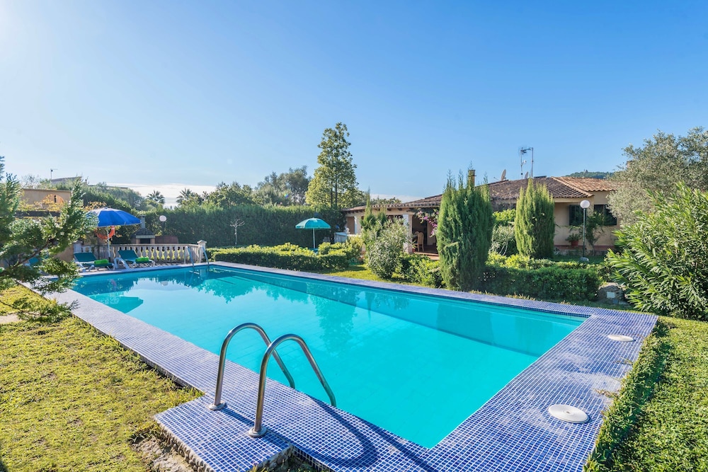 Hibiscus in Sa Pobla photo 2