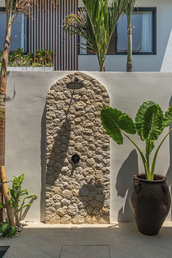 Nova Oasis 1