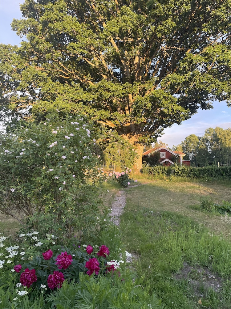 Toftahult Bed&Breakfast view 4
