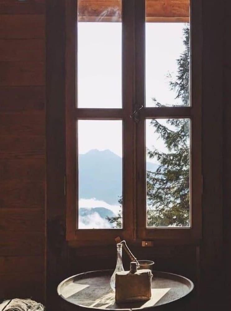 Pokut Orion view 2