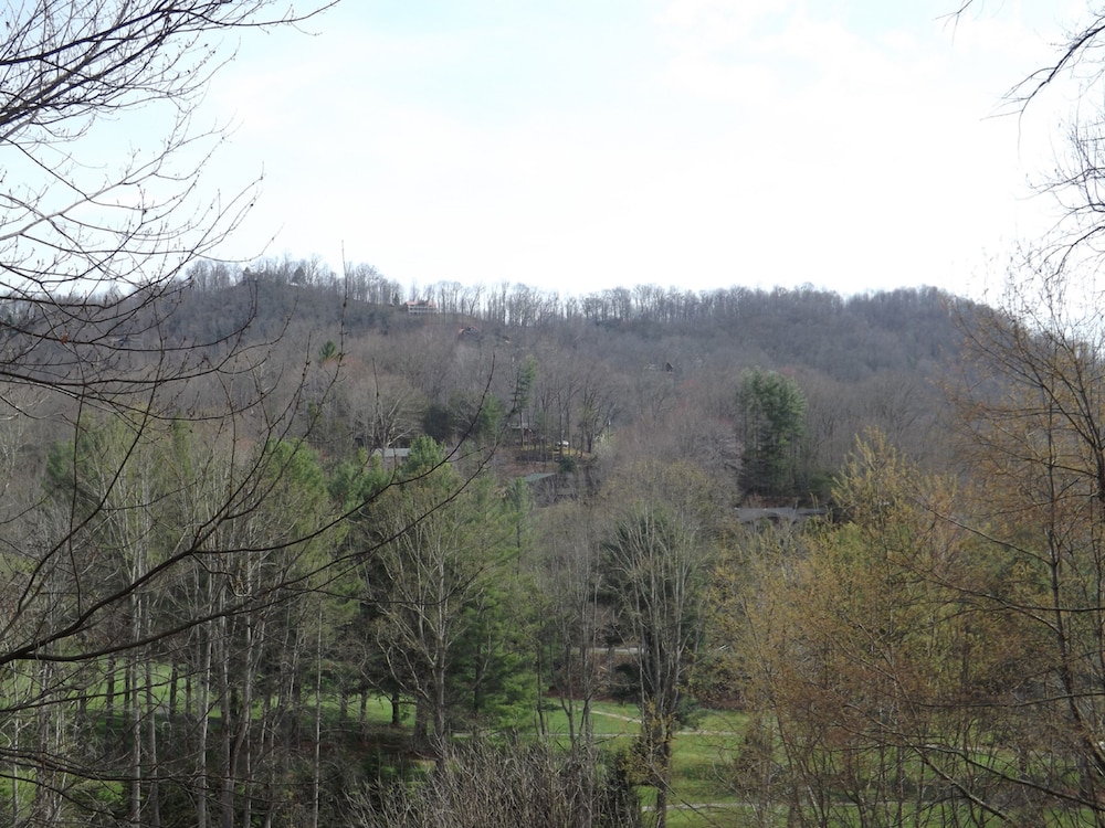 Cabins at Twinbrook Resort