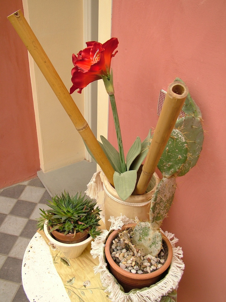 Locanda Zacco