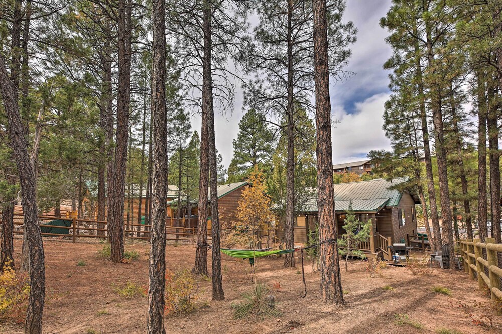 Pet-friendly Show Low Cabin w/ Trail Access!