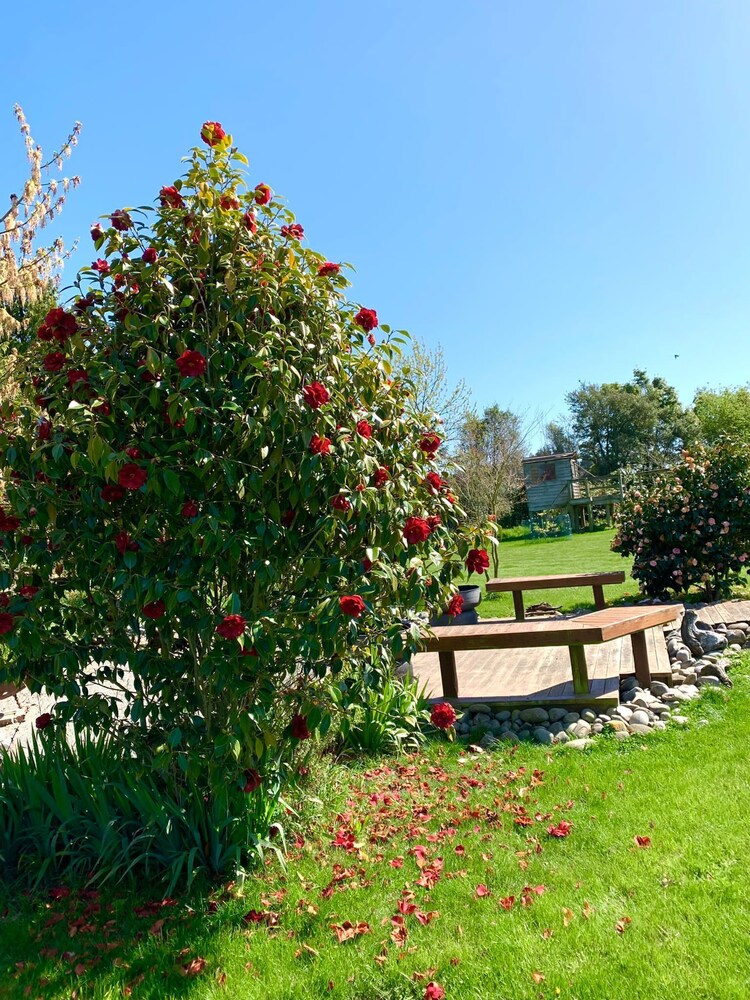 Newlands B&B