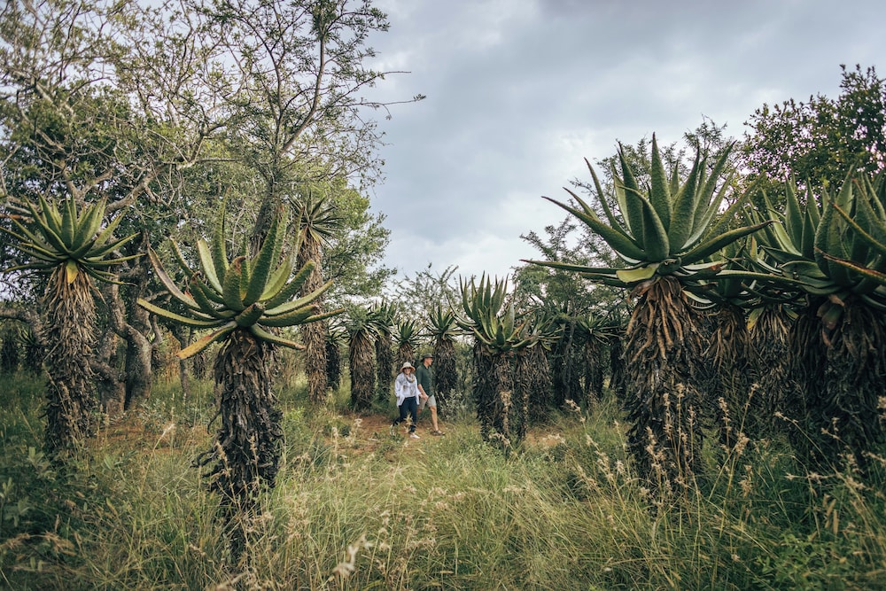 Summerplace Game Reserve