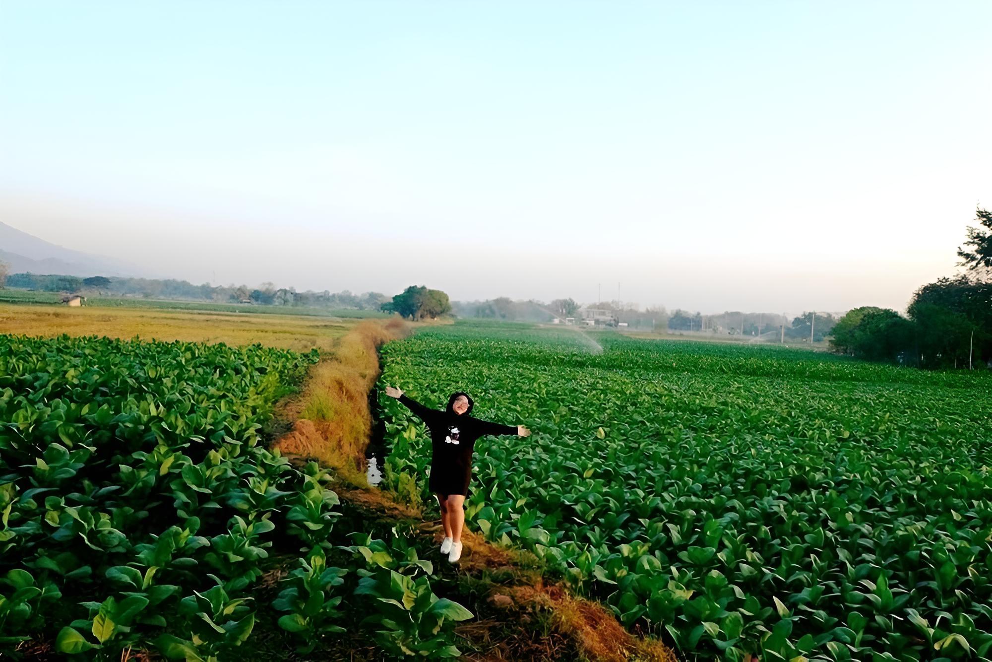 Le Kuna Farm Stay