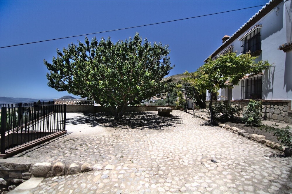 Photo 23