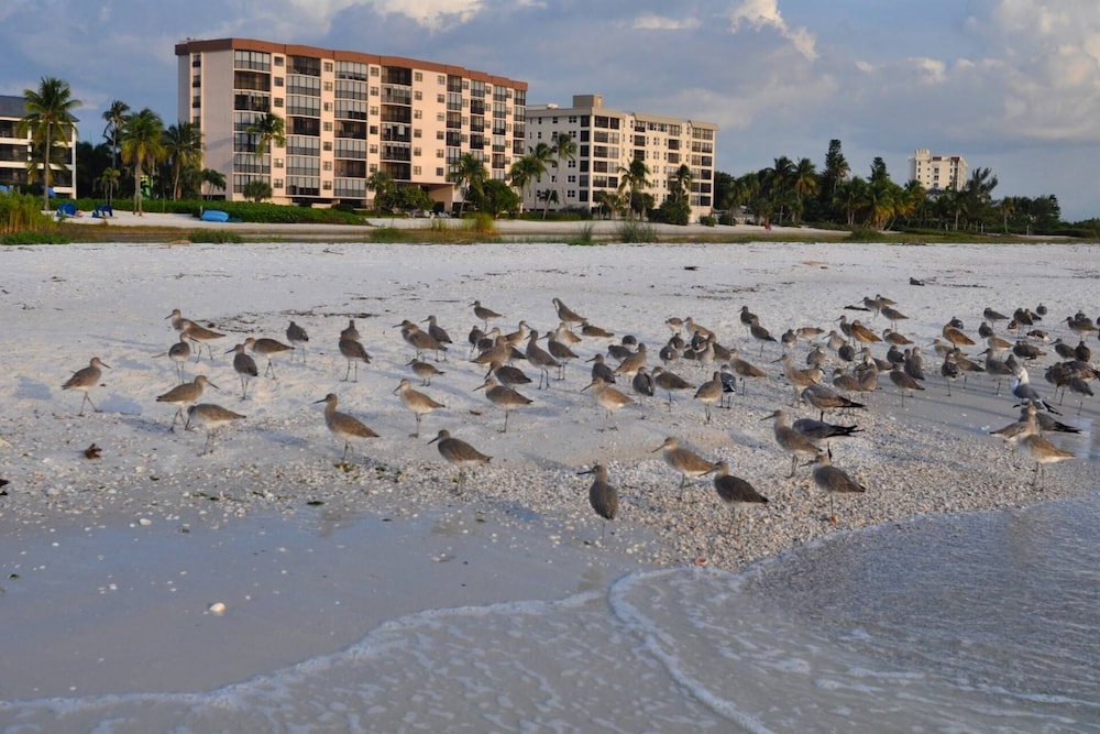 Shamron Beach Condo 507